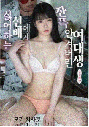 电鸽账号注册与免手机号试用流程